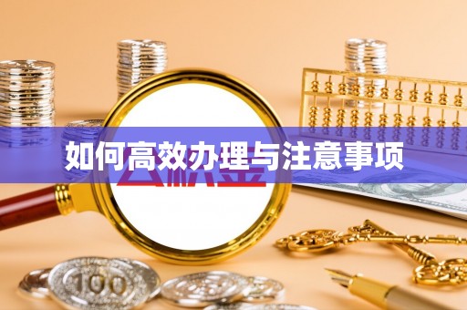 庐江如何高效办理与注意事项