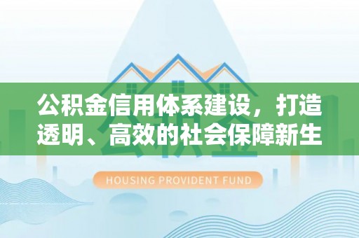 庐江公积金信用体系建设，打造透明、高效的社会保障新生态