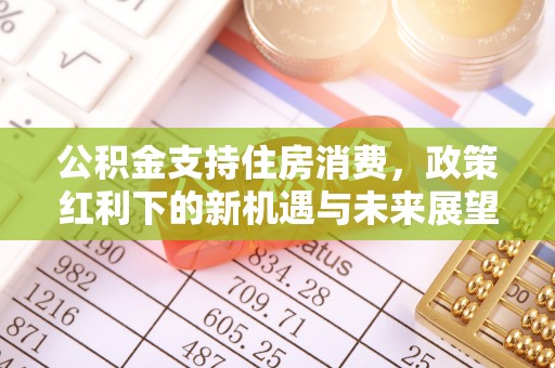 庐江公积金支持住房消费，政策红利下的新机遇与未来展望