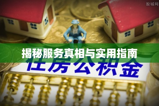 庐江揭秘服务真相与实用指南
