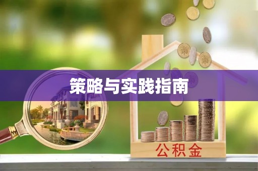 庐江策略与实践指南
