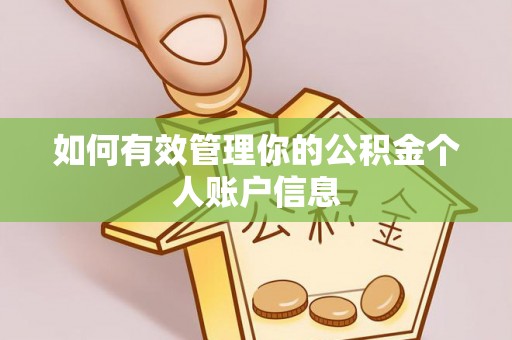 庐江如何有效管理你的公积金个人账户信息